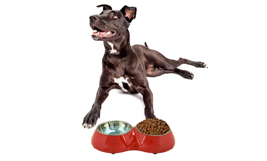 Image 7: Double Pet Bowl