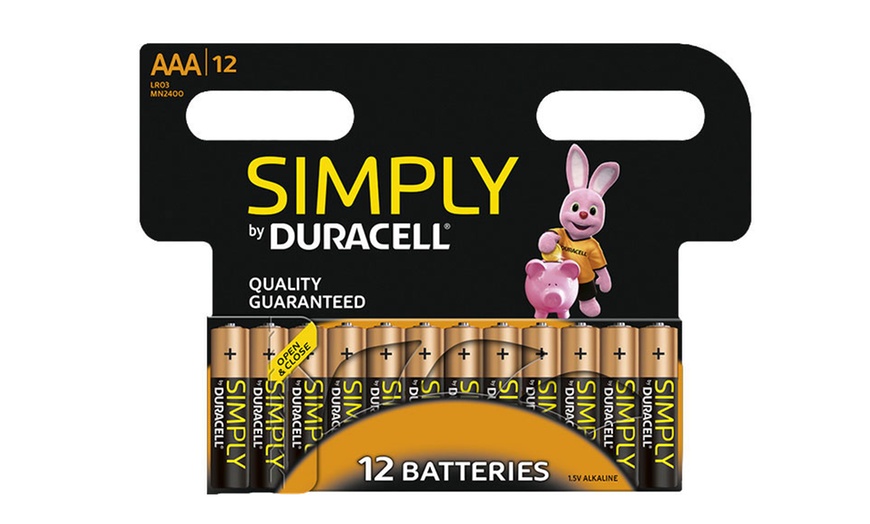 Image 6: Set van 12, 24 of 36 Duracell AA- of AAA-batterijen