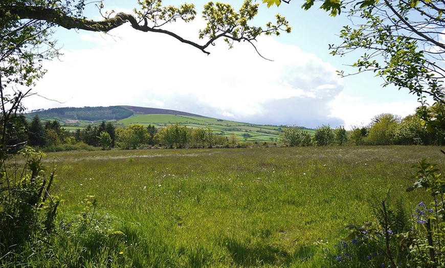 Image 15: 2- to 4-Night Camping in Pembrokeshire 