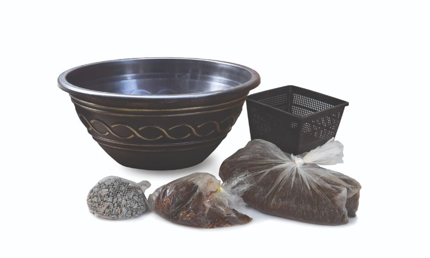 Image 3: Fragrant Patio Pond Plant Kit with Various Pot Options