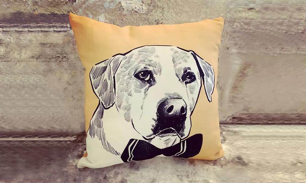 78% Off Personalized Pet Portrait Pillow from Justyling
