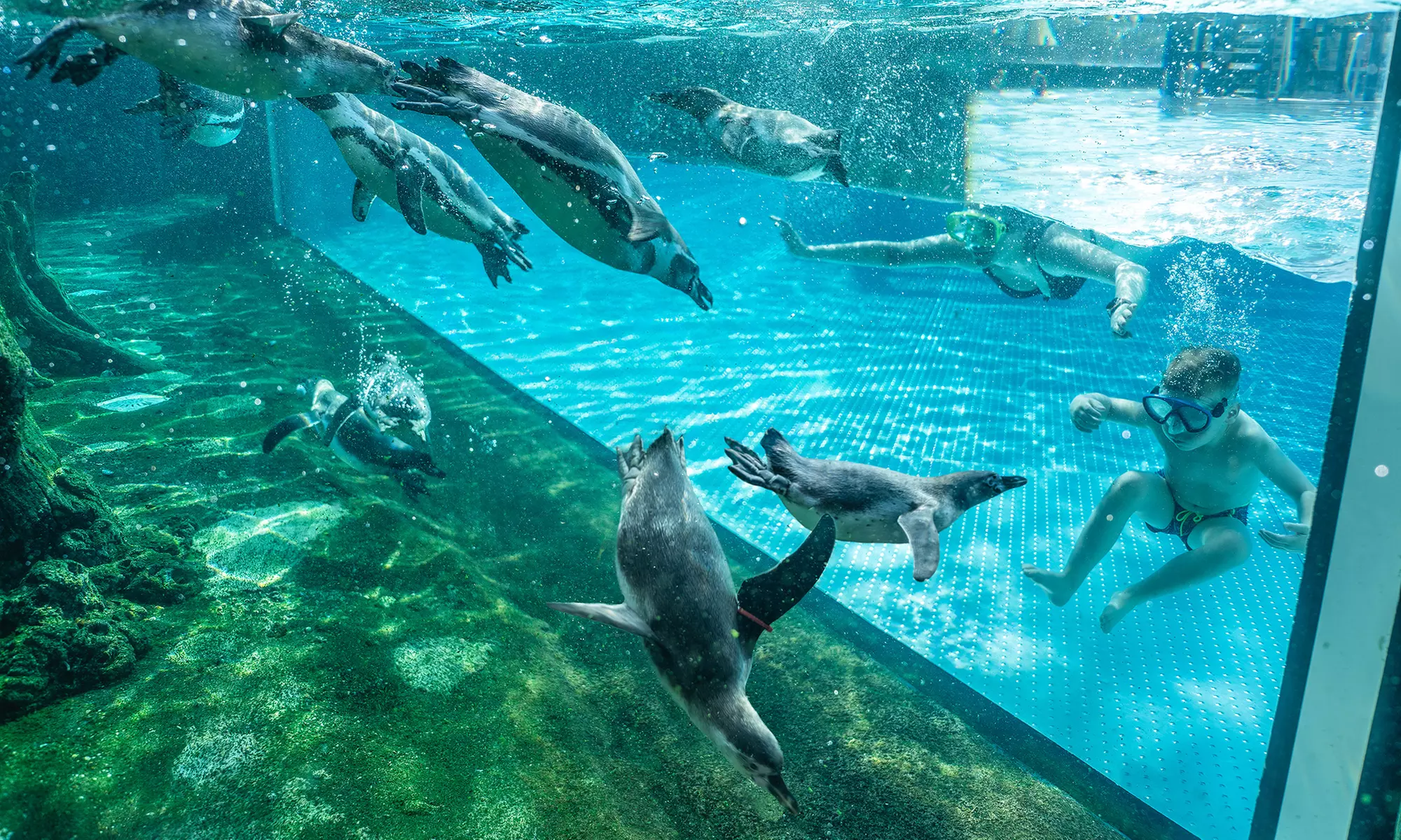 Tages-Familienkarte für die Badewelt oder Tageskarte mit Saunawelt der Spreewelten Lübbenau (bis zu 37% sparen) - Primary Image