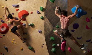 Bouldering or Ropes Courses at Brooklyn Boulders Queensbridge