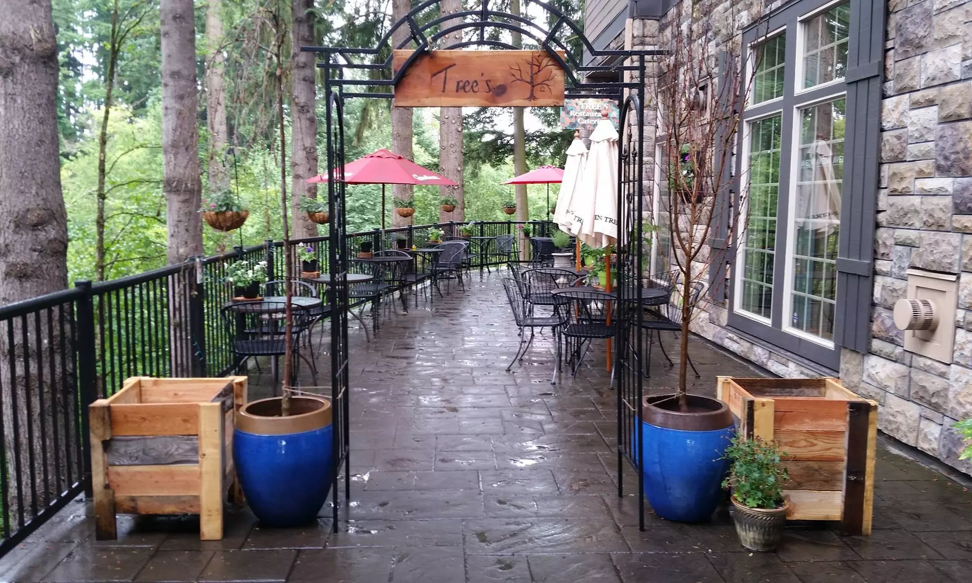 Lunch or Brunch Menu at Trees Restaurant and Catering (Up to 33% Off). Four Options Available.  - Primary Image