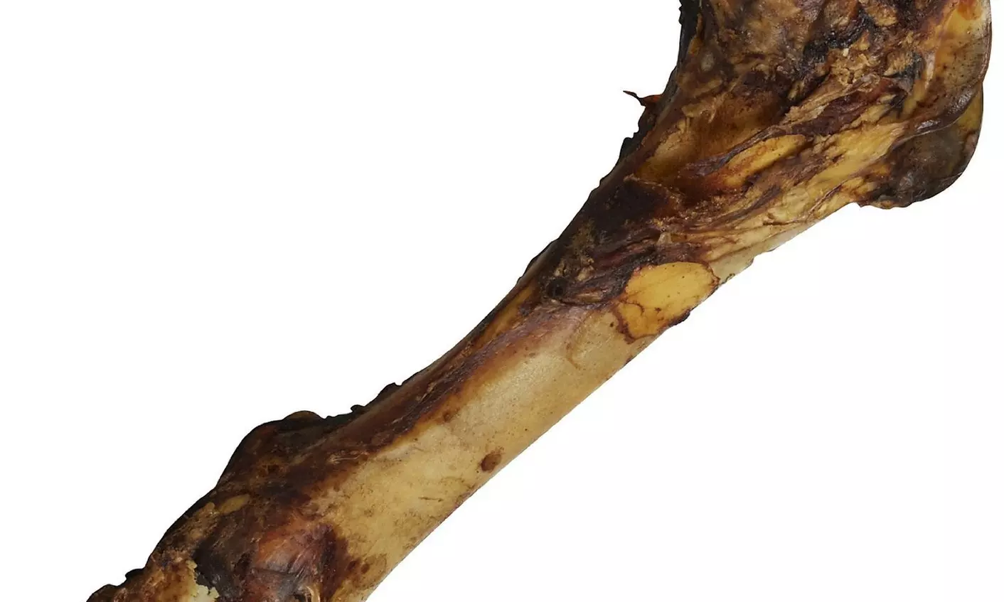 EcoKind Pet Treats Large 16" Femur Bone for Dogs - Second Medium