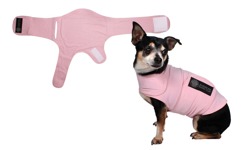 American Kennel Club Calming Anti-Anxiety/Stress Relief Coat for Dogs |  Groupon