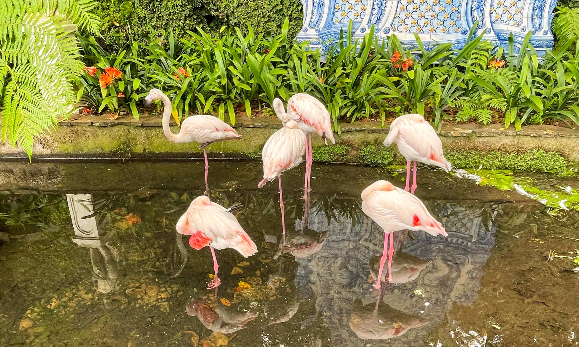 7 Tage auf Madeira inkl. Flüge, Unterkunft & Mietwagen