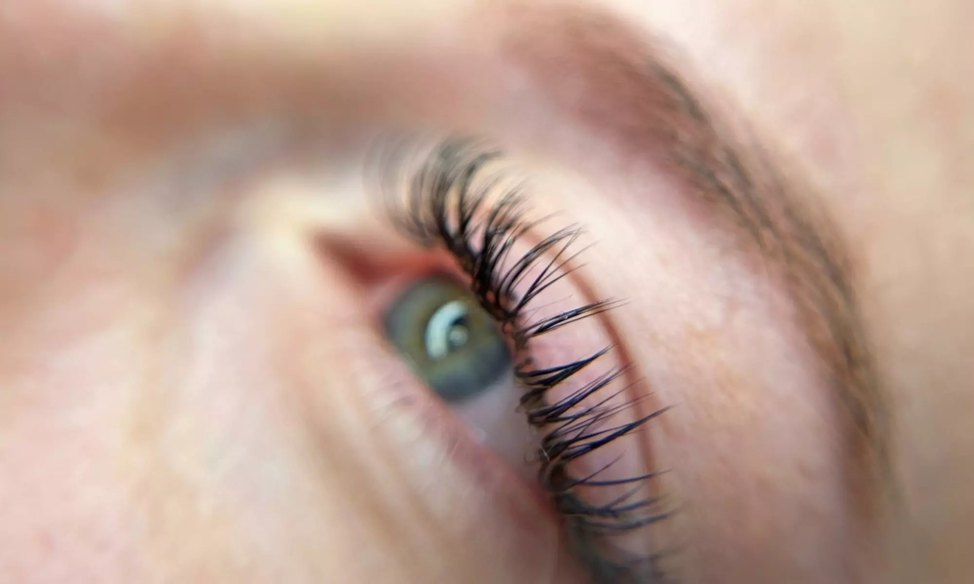 Laminacja i koloryzacja brwi lub rzęs oraz przedłużanie rzęs