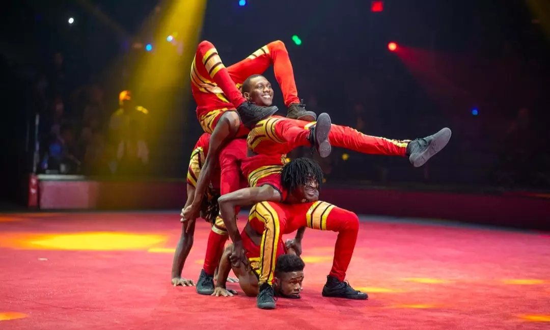 Circus Vazquez (November 19 – December 12) - Second Medium