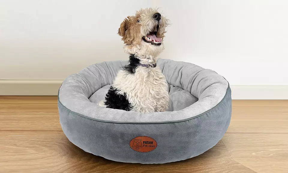 Cucce, lettini e divanetti per cani e gatti in vari modelli e misure