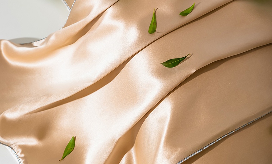 Image 16: 21 Momme Pure Silk Hotel Grade Pillowcase Pair