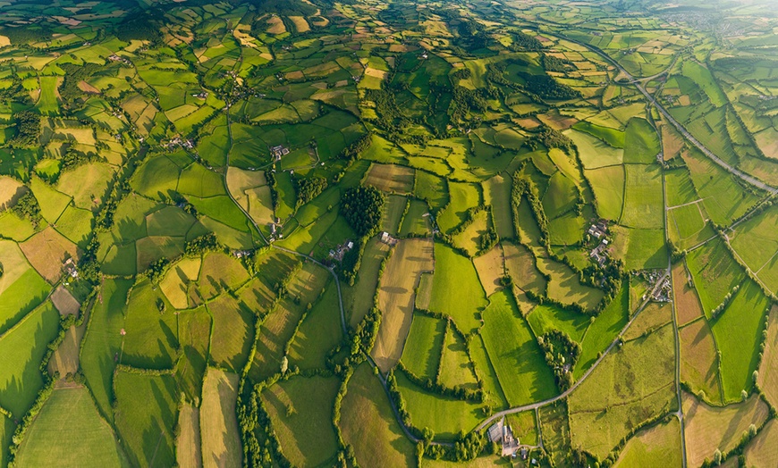 Image 6: Wild Pig Hot Air Balloon Flight with Champagne