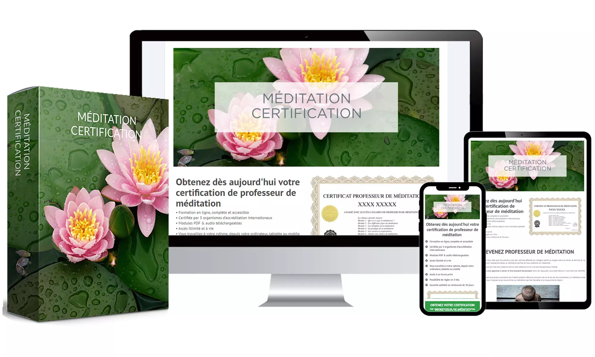 Formation en méditation avec MeFormer