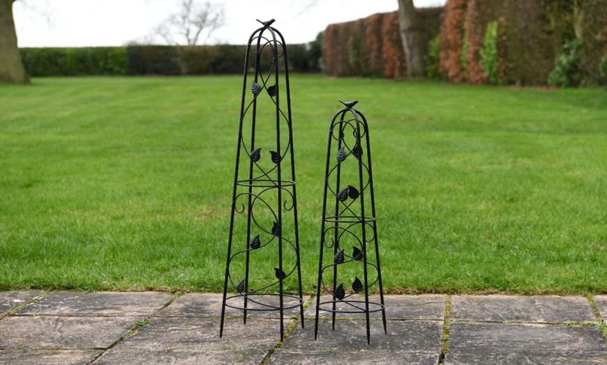 Image 23: Decorative Garden Trellis Plant Support Collections