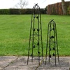 Image 23: Decorative Garden Trellis Plant Support Collections