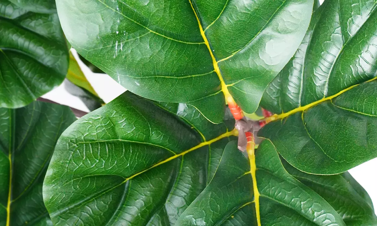Collezione di piante finte da interno