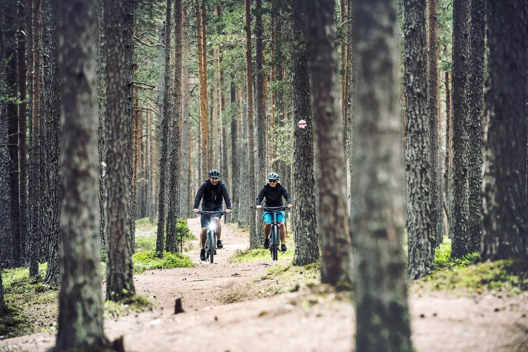 Half-Day E-Bike Hire or Segway, Archery, or Laser Clay Shooting