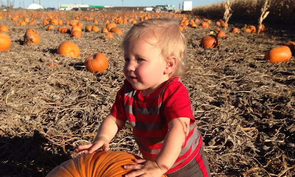 All-Inclusive Entry for One, Two, Four, or Six to Pope Farms (Up to 37% Off) - Second Medium