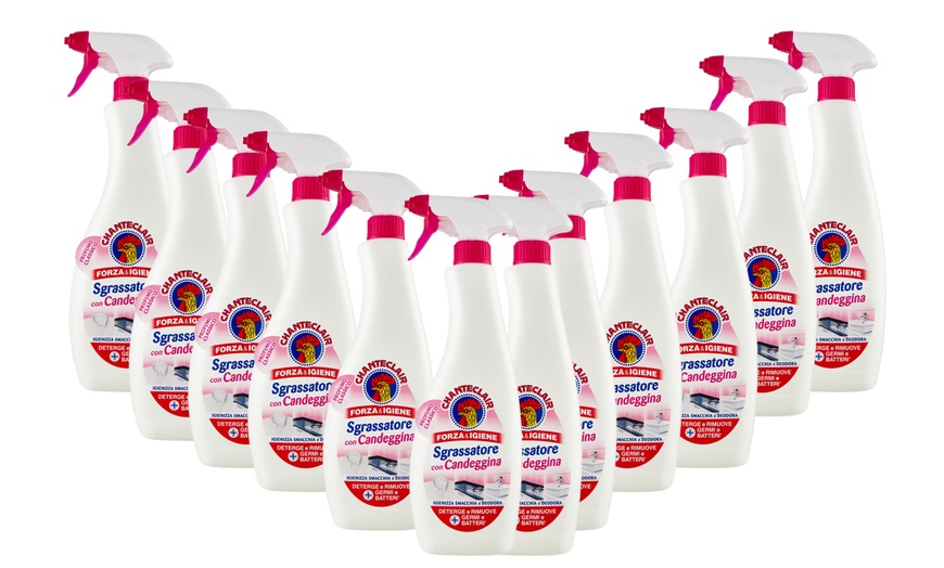 Image 14: 12 confezioni di Chanteclair sgrassatore da 600 ml