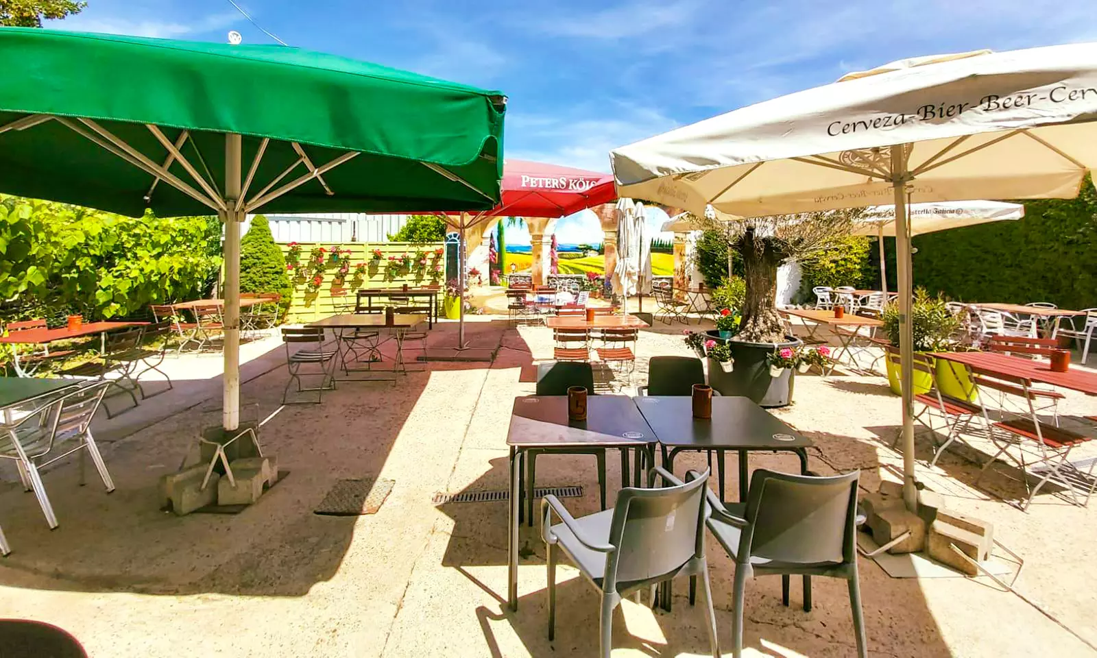 Tapas-Menü nach Wahl für 1, 2 oder 4 Personen