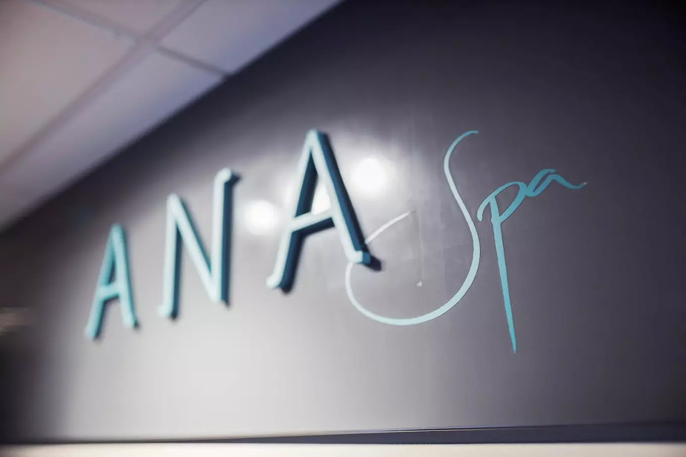 Spa Day with Choice of 50 min Treatment & Lunch