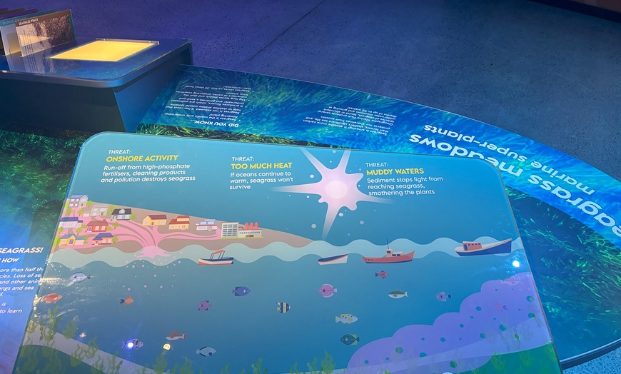 Image 7: An Interactive and Immersive Marine Experience for Kids or Adults