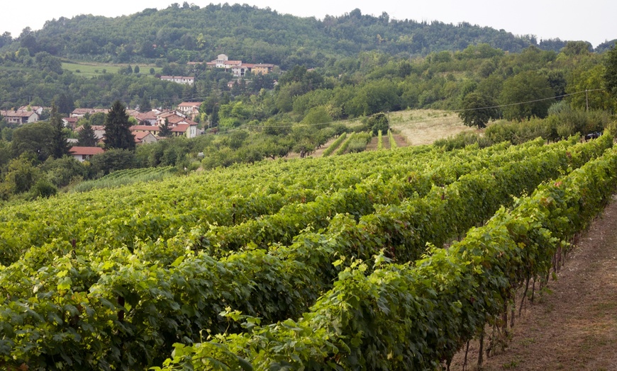 Image 2: Visita alle cantine Pierino Vellano e degustazione di 3 vini