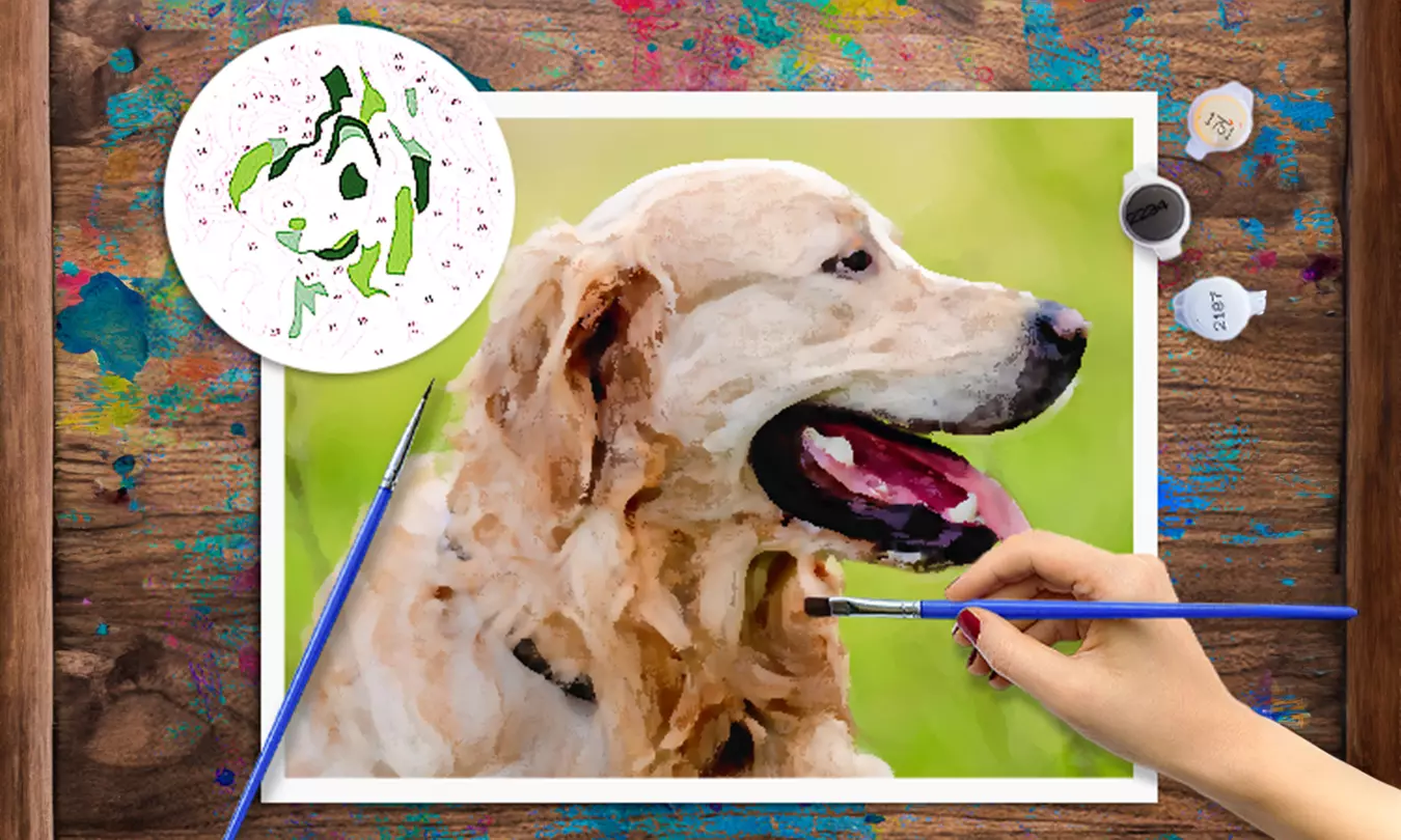 Schilderen op nummer