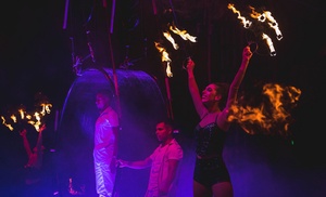 Experience the Thrills of Fire, Water, & Acrobatics at Gravity Circus