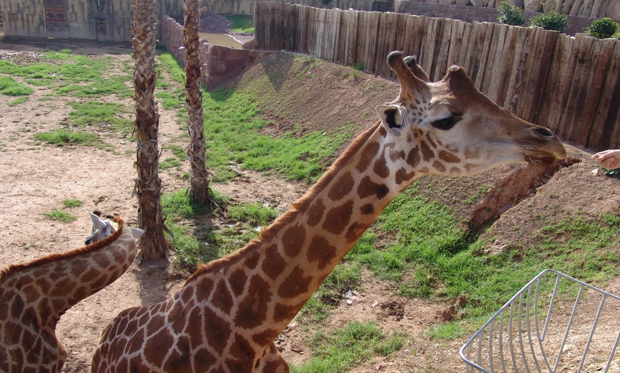 Image 16: ¡Diversión familiar! Entrada a Terra Natura Murcia para 1 a 4 personas