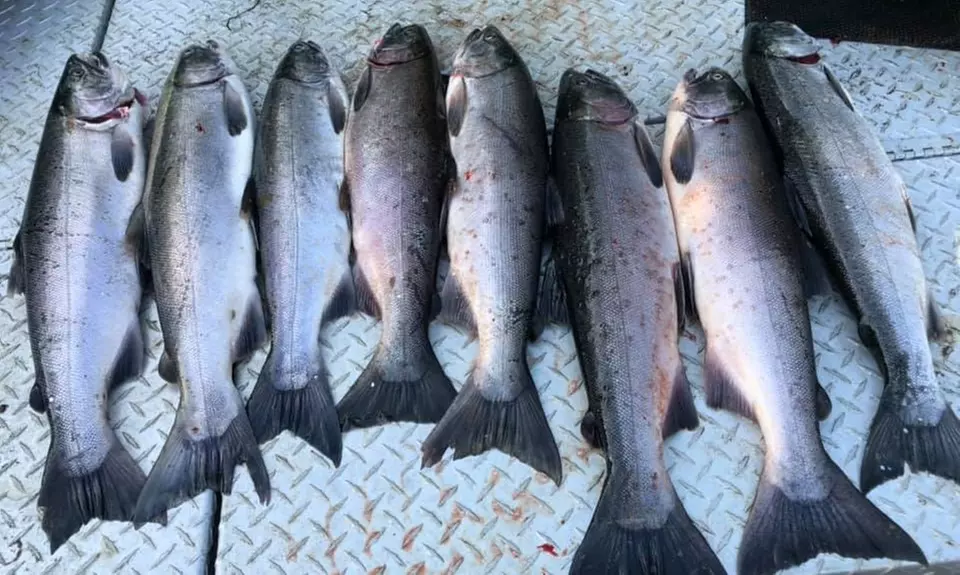 Full-Day Private Fishing Trip for Up to Two, Three, Four, or Five from Gaffney's Guide Service (Up to 25% Off) - Second Medium