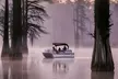 Caddo Lake Cypress Touring Co offers a 1.5-hour scenic boat tour up to 37% - Second Medium