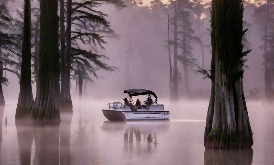 Image 4: Up to 30% Off Scenic Boat Tours on Caddo Lake