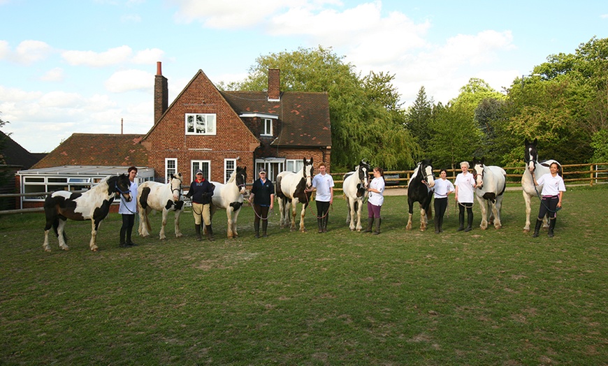 Image 6: Horse Riding With Hot Drink