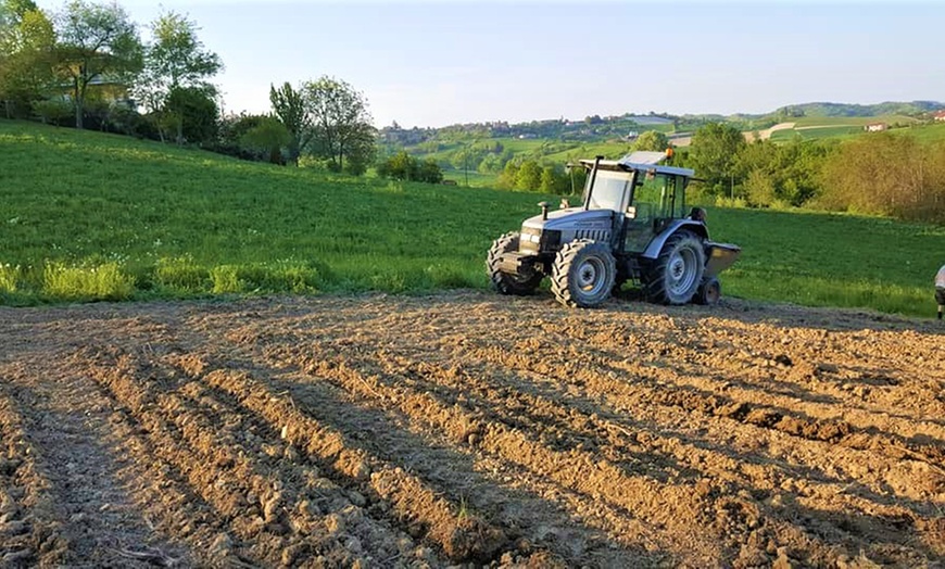 Image 10: Degustazione vini, salumi e formaggi da Azienda agricola Paoletti