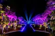 Explore Dazzling Light Displays at The Night Garden in Miami - Second Medium