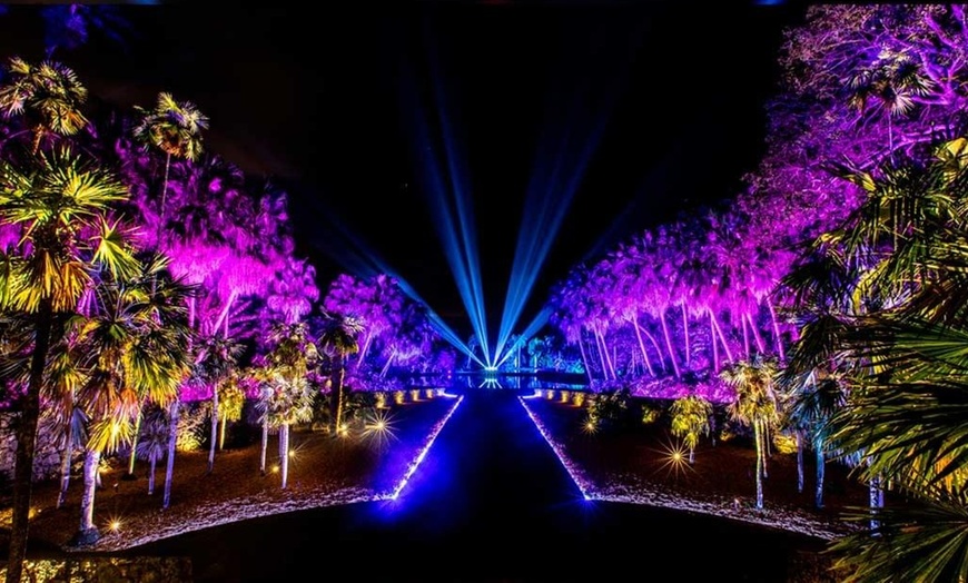 Image 6: Explore Dazzling Light Displays at The Night Garden in Miami