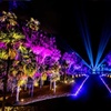 Image 6: Explore Dazzling Light Displays at The Night Garden in Miami