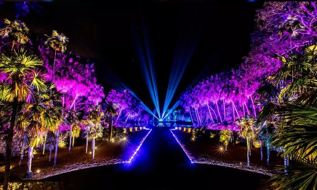 Explore Dazzling Light Displays at The Night Garden in Miami