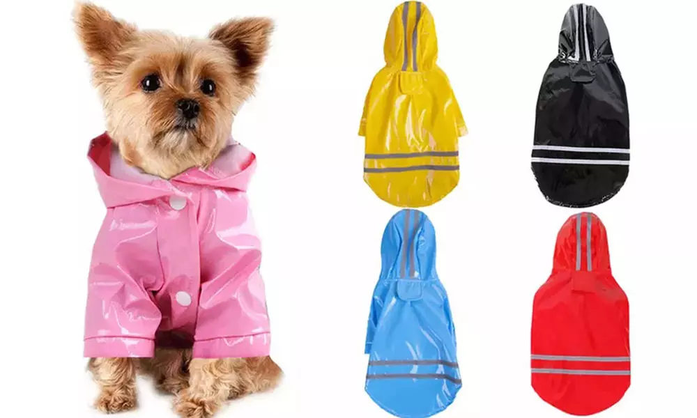 1 ou 2 imperméables à capuche pour chien, coloris et taille au choix - Primary Image