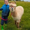 Image 1: Kids or Adult Ticket to 60-Minute Alpaca Meet & Greet Experience