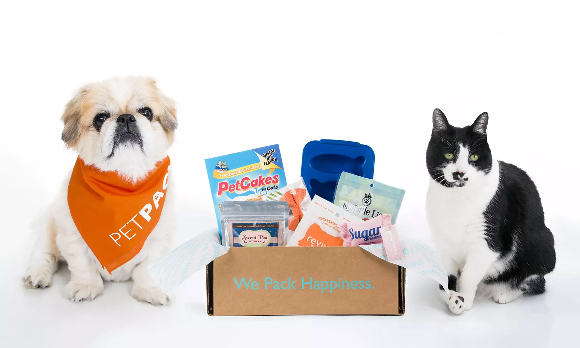 One- or Three-Month Subscription from PetPack (Up to 34% Off) - Primary Image