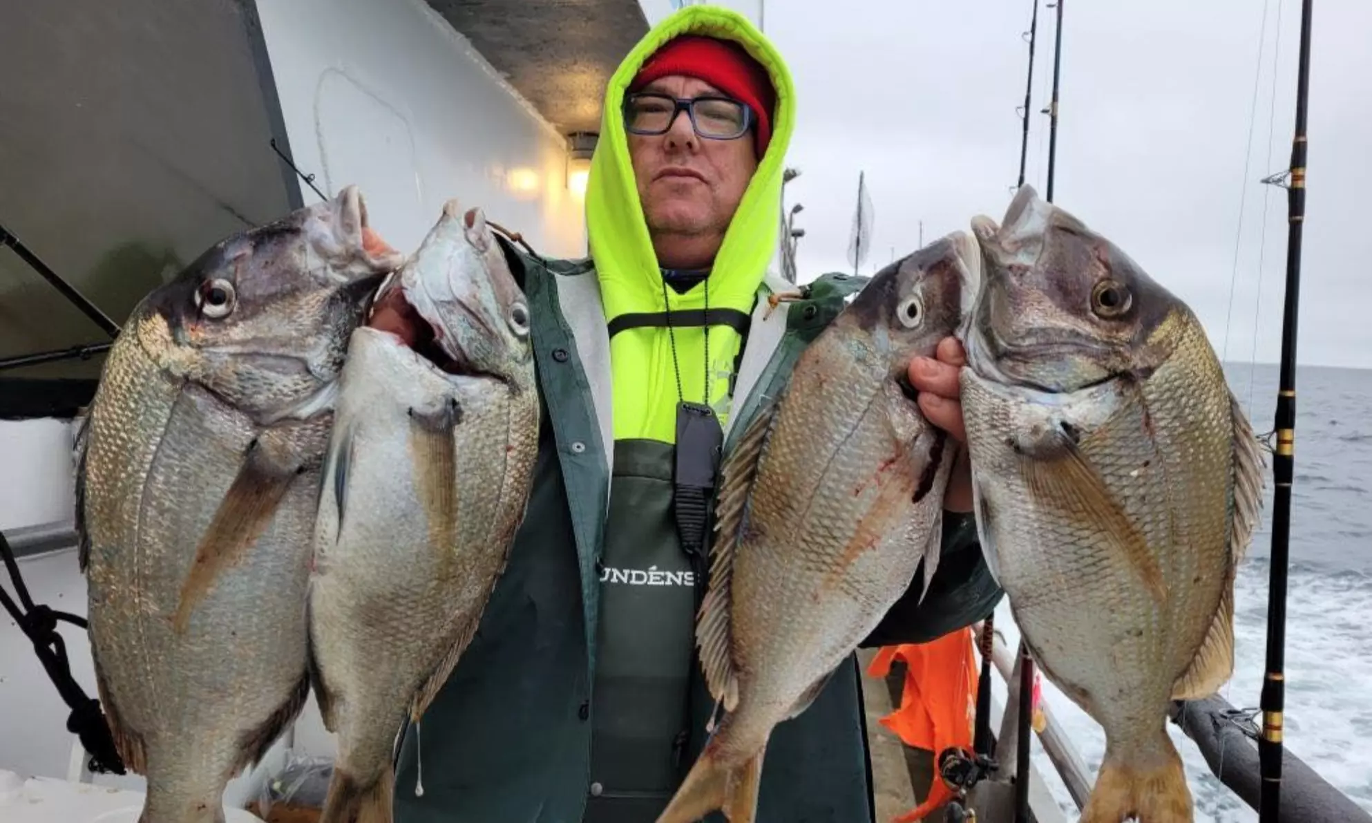 5 Hour Afternoon Sea Bass Fishing Trip in New Jersey Waters