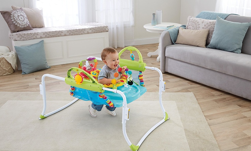 Image 5: Fisher Price Kids Jumperoo