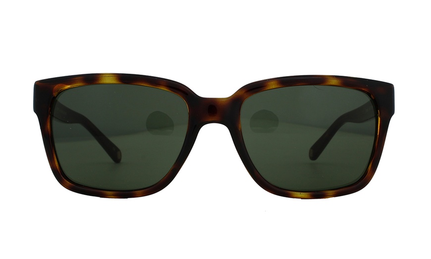 Image 13: Ted Baker Sunglasses