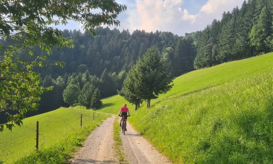 Image 17: Soggiorno in Slovenia 4*: mezza pensione con piscine all'Hotel Atrij