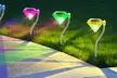 2 ou 4 lampes solaires LED en forme de diamant avec fonction changement automatique de coloris, livraison gratuite - Image 2