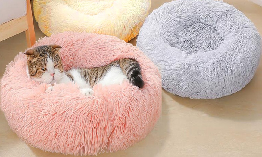 fluffy donut pet bed