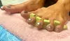 Gel Polish with Holiday Nail Art, Express Spa Nail Polish Pedicure or X-Short Gel Extension Set (Up to 33% Off)