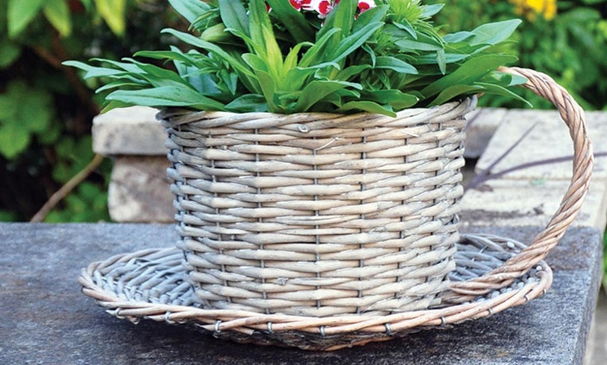 Image 4: Novelty Wicker Planters 3 Styles